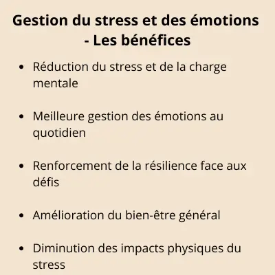 Gestion Du Stress, Coaching Entreprise Et Particulier, Developpement Personnel, Convergerensemnle, Converger Ensemble (1)